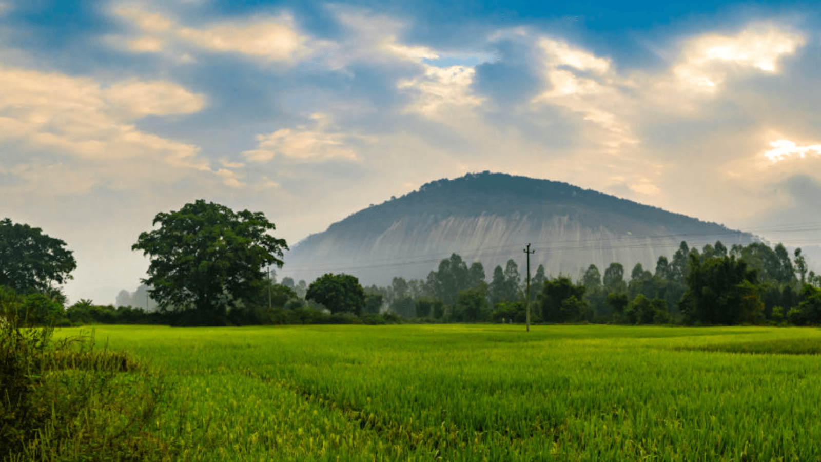 Yelagiri Hills