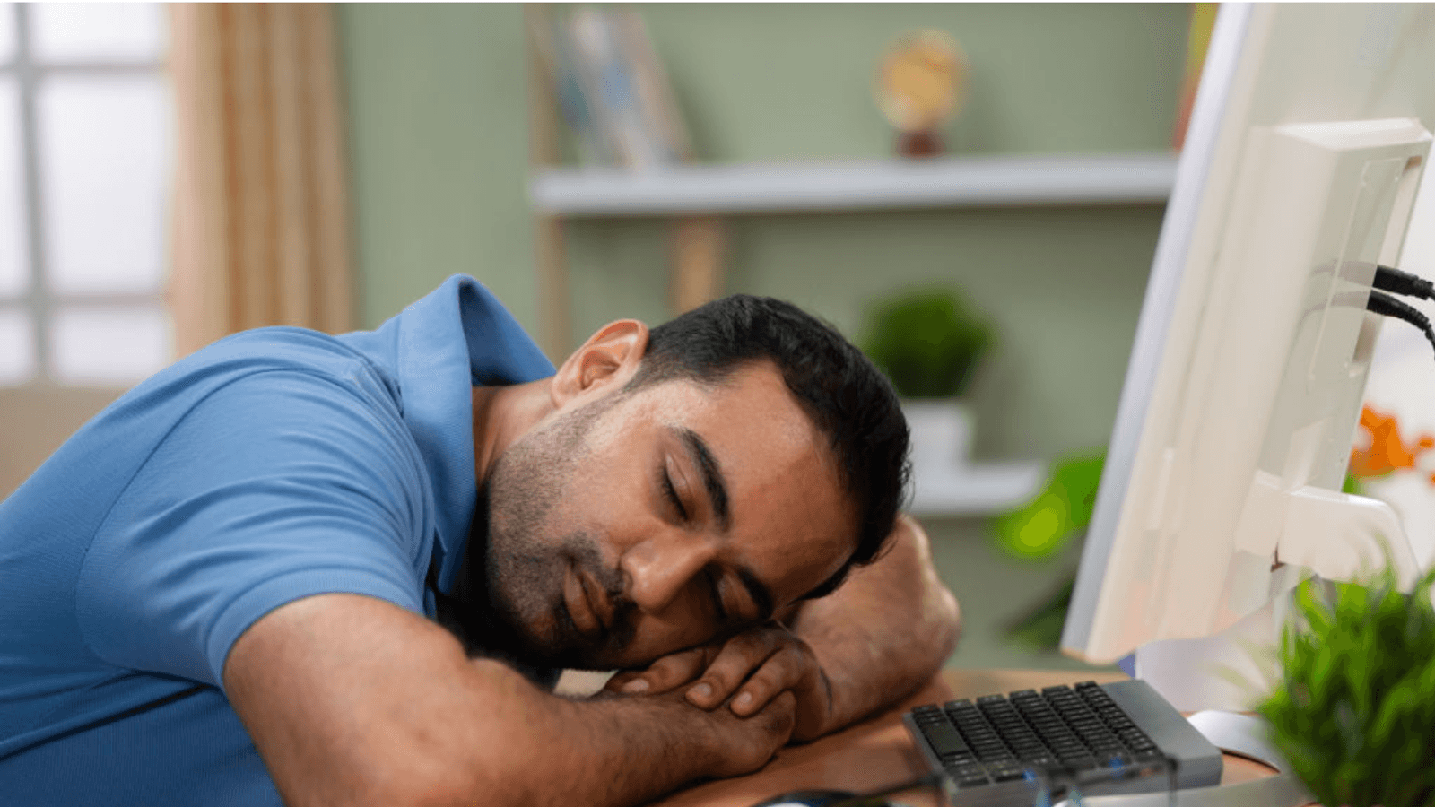 siesta