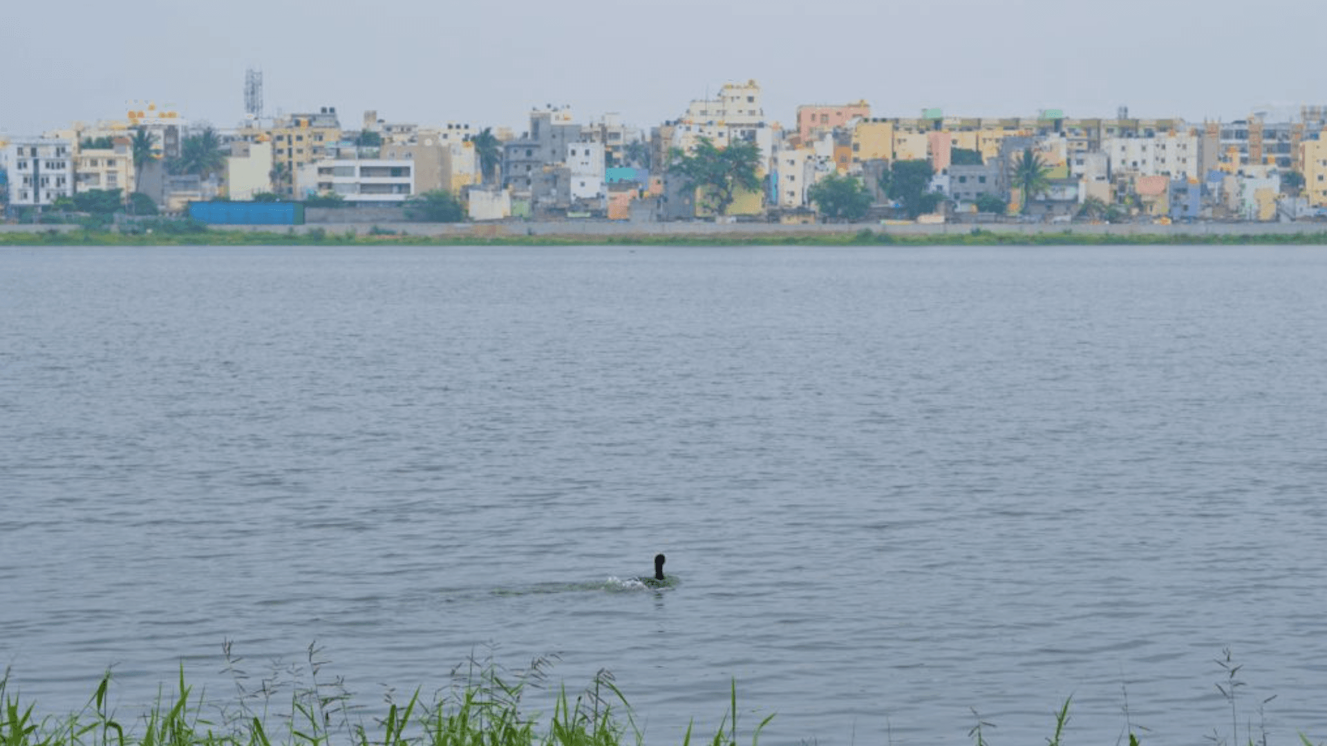 Madiwala Lake