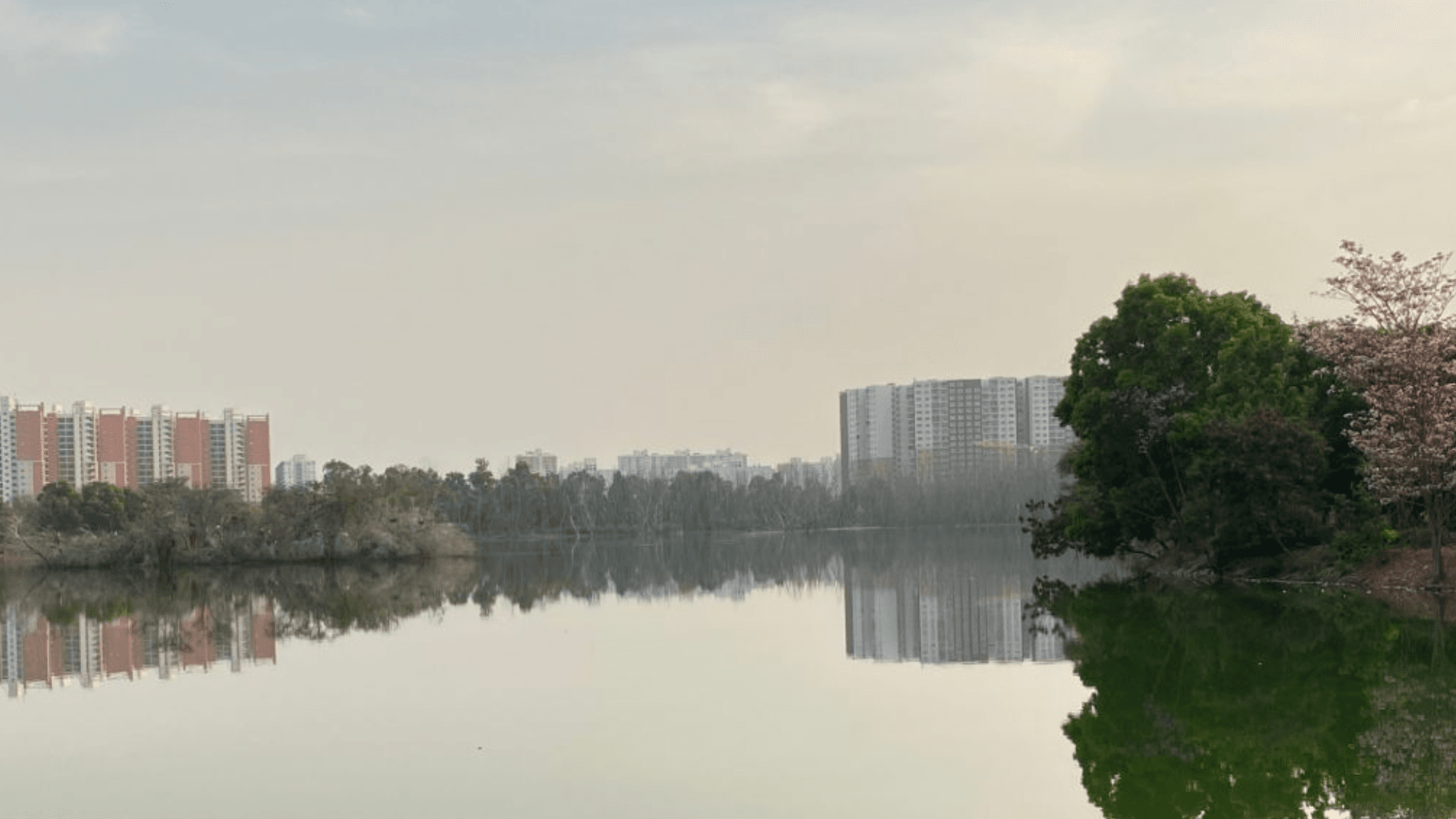 Kasavanahalli Lake